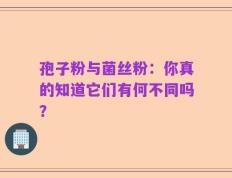 孢子粉与菌丝粉：你真的知道它们有何不同吗？