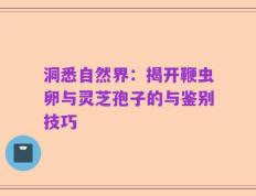 洞悉自然界：揭开鞭虫卵与灵芝孢子的与鉴别技巧