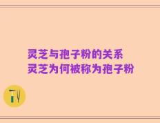 灵芝与孢子粉的关系 灵芝为何被称为孢子粉
