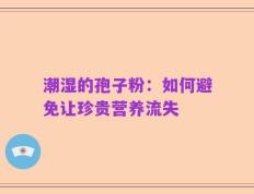 潮湿的孢子粉：如何避免让珍贵营养流失