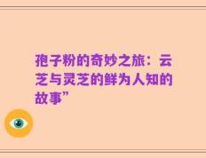 孢子粉的奇妙之旅：云芝与灵芝的鲜为人知的故事”