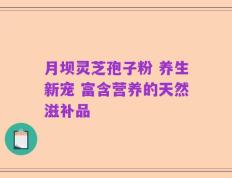 月坝灵芝孢子粉 养生新宠 富含营养的天然滋补品
