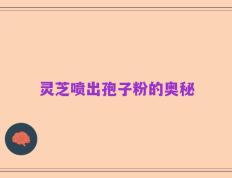 灵芝喷出孢子粉的奥秘