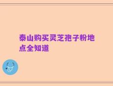 泰山购买灵芝孢子粉地点全知道