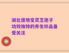 湖北道地宝灵芝孢子 功效独特的养生珍品备受关注