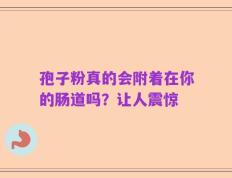 孢子粉真的会附着在你的肠道吗？让人震惊