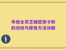 粤微全灵芝破壁孢子粉的功效与使用方法详解
