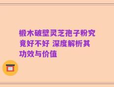 椴木破壁灵芝孢子粉究竟好不好 深度解析其功效与价值