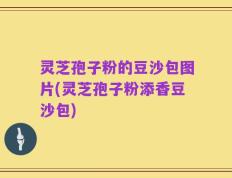 灵芝孢子粉的豆沙包图片(灵芝孢子粉添香豆沙包)