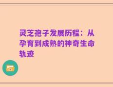 灵芝孢子发展历程：从孕育到成熟的神奇生命轨迹