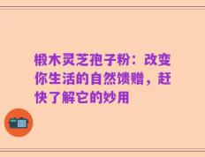 椴木灵芝孢子粉：改变你生活的自然馈赠，赶快了解它的妙用