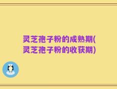 灵芝孢子粉的成熟期(灵芝孢子粉的收获期)