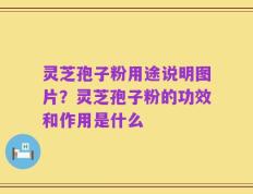 灵芝孢子粉用途说明图片？灵芝孢子粉的功效和作用是什么