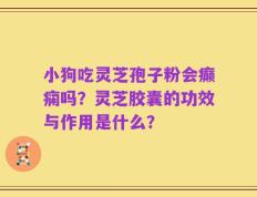 小狗吃灵芝孢子粉会癫痫吗？灵芝胶囊的功效与作用是什么？