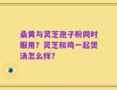 桑黄与灵芝孢子粉同时服用？灵芝和鸡一起煲汤怎么样？