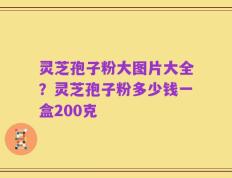 灵芝孢子粉大图片大全？灵芝孢子粉多少钱一盒200克