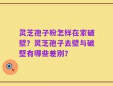 灵芝孢子粉怎样在家破壁？灵芝孢子去壁与破壁有哪些差别？