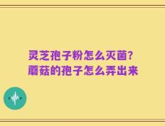 灵芝孢子粉怎么灭菌？蘑菇的孢子怎么弄出来