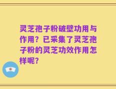 灵芝孢子粉破壁功用与作用？已采集了灵芝孢子粉的灵芝功效作用怎样呢？