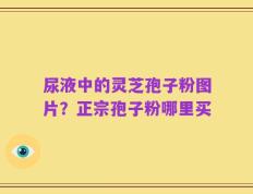 尿液中的灵芝孢子粉图片？正宗孢子粉哪里买