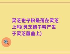 灵芝孢子粉是落在灵芝上吗(灵芝孢子粉产生于灵芝菌盖上)