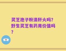 灵芝孢子粉清肝火吗？野生灵芝有药用价值吗？