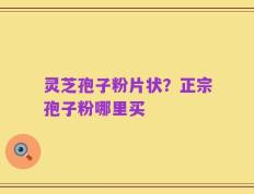 灵芝孢子粉片状？正宗孢子粉哪里买