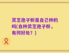 灵芝孢子粉是自己种的吗(自种灵芝孢子粉，有何好处？)