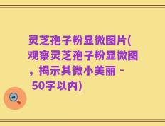灵芝孢子粉显微图片，观察灵芝孢子粉显微图，揭示其微小美丽