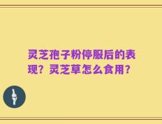 灵芝孢子粉停服后的表现？灵芝草怎么食用？