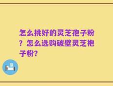 怎么挑好的灵芝孢子粉？怎么选购破壁灵芝袍子粉？