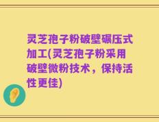 灵芝孢子粉破壁碾压式加工(灵芝孢子粉采用破壁微粉技术，保持活性更佳)