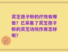灵芝孢子粉的疗效有哪些？已采集了灵芝孢子粉的灵芝功效作用怎样呢？