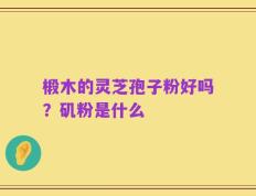 椴木的灵芝孢子粉好吗？矶粉是什么
