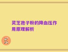 灵芝孢子粉的降血压作用原理解析