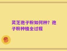 灵芝孢子粉如何种？孢子粉种植全过程
