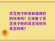 灵芝孢子粉有解酒保肝的作用吗？已采集了灵芝孢子粉的灵芝功效作用怎样呢？