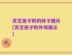 灵芝孢子粉的样子图片(灵芝孢子粉外观展示)