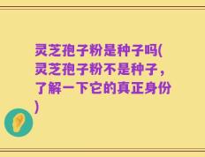 灵芝孢子粉是种子吗(灵芝孢子粉不是种子，了解一下它的真正身份)
