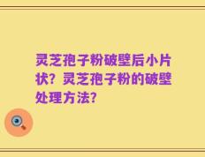 灵芝孢子粉破壁后小片状？灵芝孢子粉的破壁处理方法？
