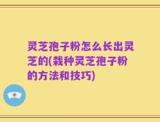 灵芝孢子粉怎么长出灵芝的(栽种灵芝孢子粉的方法和技巧)