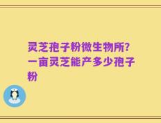 灵芝孢子粉微生物所？一亩灵芝能产多少孢子粉