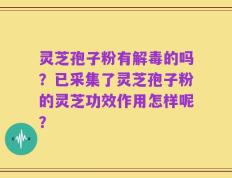 灵芝孢子粉有解毒的吗？已采集了灵芝孢子粉的灵芝功效作用怎样呢？