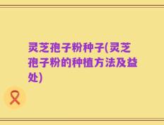 灵芝孢子粉种子(灵芝孢子粉的种植方法及益处)
