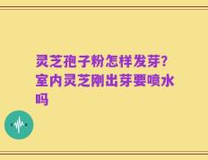 灵芝孢子粉怎样发芽？室内灵芝刚出芽要喷水吗