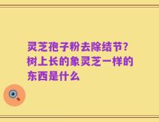 灵芝孢子粉去除结节？树上长的象灵芝一样的东西是什么