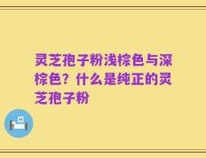 灵芝孢子粉浅棕色与深棕色？什么是纯正的灵芝孢子粉
