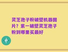 灵芝孢子粉破壁机器图片？紫一破壁灵芝孢子粉到哪里买最好