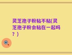 灵芝孢子粉粘不粘(灵芝孢子粉会粘在一起吗？)
