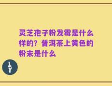 灵芝孢子粉发霉是什么样的？普洱茶上黄色的粉末是什么